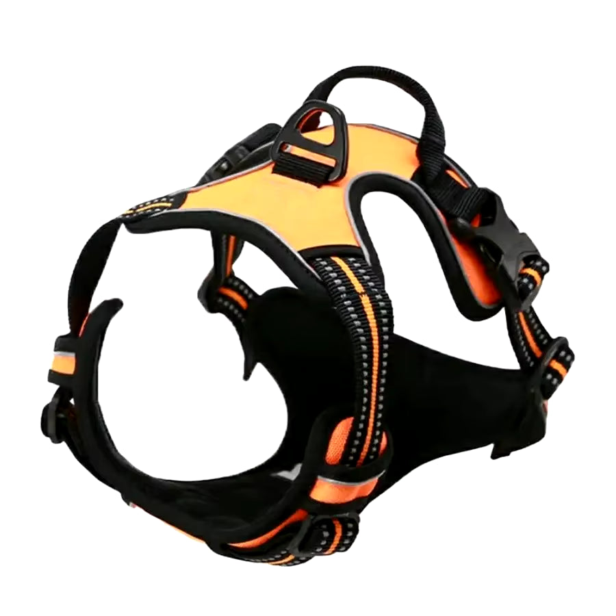 Dog Collars Harness Big Vests Leash Pet Shop Everything for Dogs Leather Puppy Accessories Medium Small Set